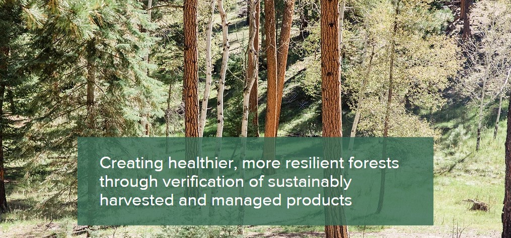 Including New Mexico Wood is a Win for NM Builders, Forests, and