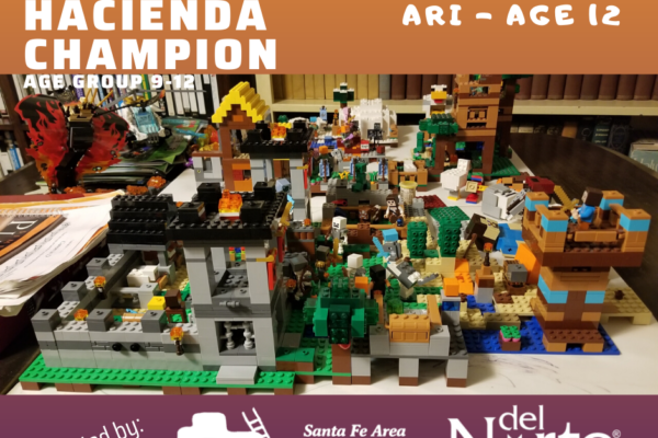 100046453_10158279932839605_8097395280162324480_n